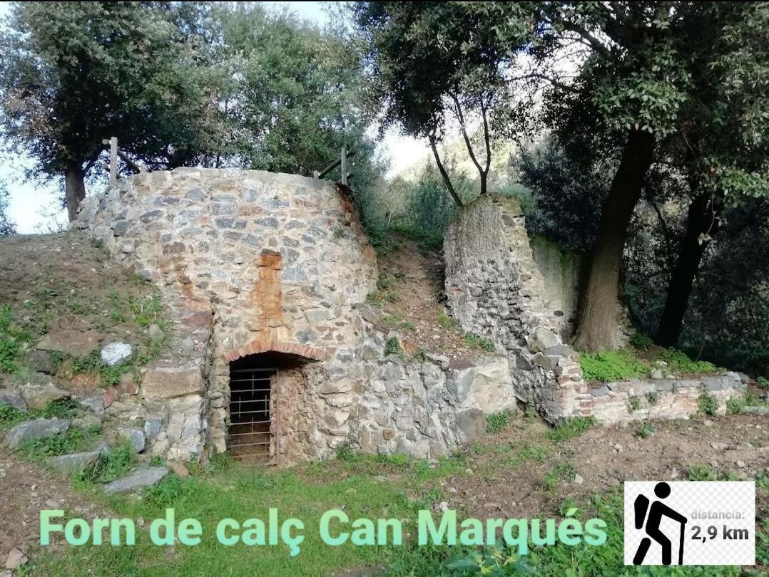 Apartamento Mar y montaña en la costa del Maresme Pineda De Mar Exterior foto
